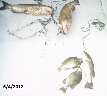ourcatch642012.jpg